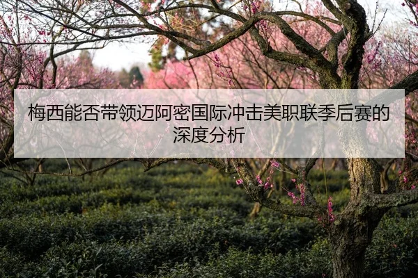 梅西能否带领迈阿密国际冲击美职联季后赛的深度分析